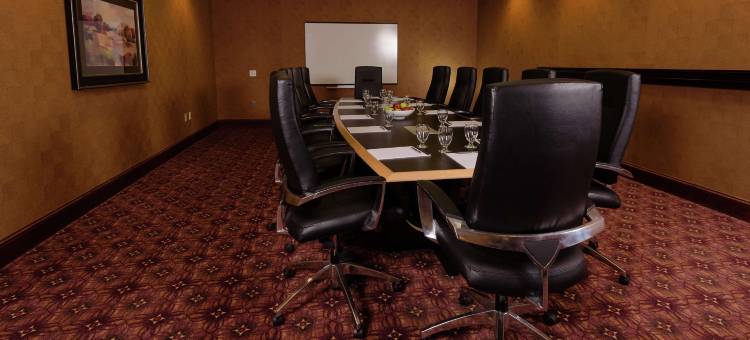 明尼阿波利斯北希尔顿安泊酒店(Embassy Suites by Hilton Minneapolis North)图片