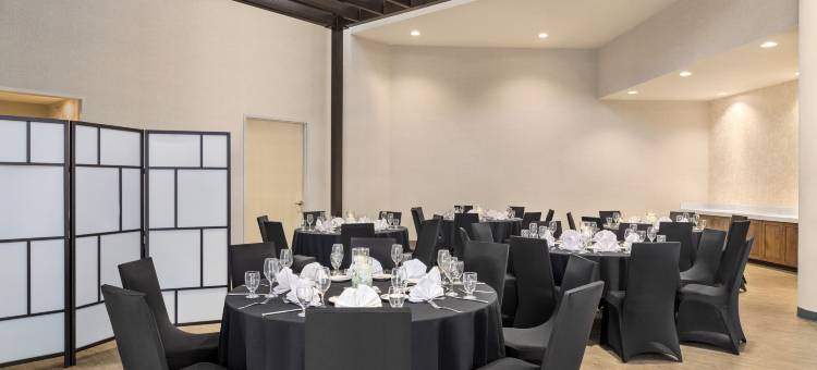 Holiday Inn 奥兰多国际机场(Holiday Inn Orlando-International Airport)图片