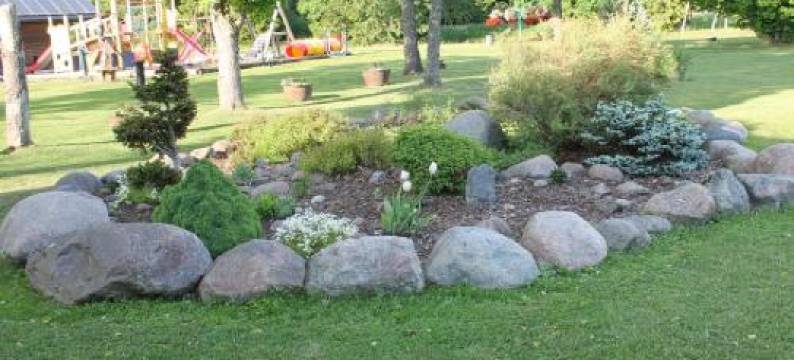 Raamatu Puhkemaja图片