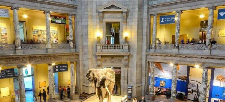 麦迪逊酒店(Le Méridien Washington, D.C., the Madison)图片