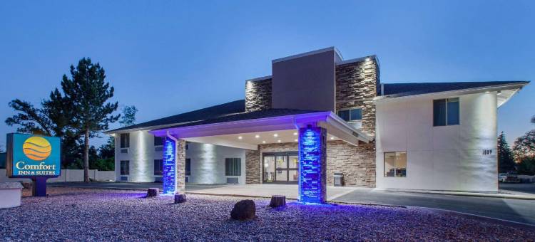 舒适套房酒店(Comfort Inn & Suites Pinetop Show Low)图片