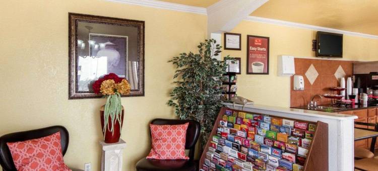 市中心东北伊克诺郊外小屋旅店及套房 - 近山姆休斯顿堡(Econo Lodge Inn & Suites Downtown Northeast Near Fort Sam Houston)图片