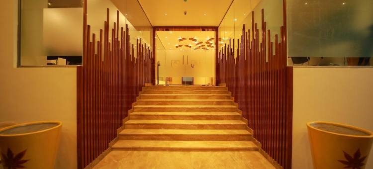 阿莫哈酒店(Hotel Amoha)图片