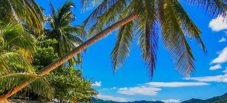 锡亚高姆皮尔度假村(Mpire Resort Siargao)图片