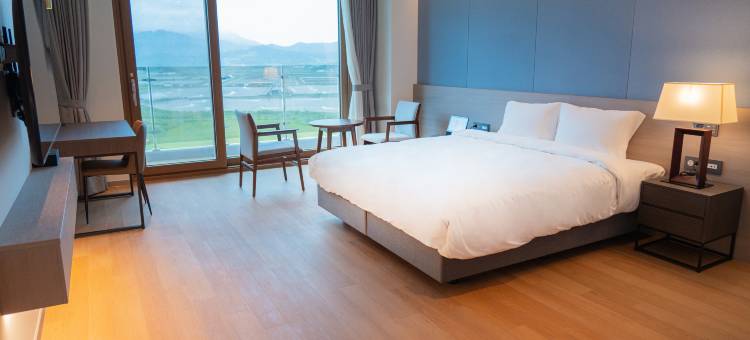 慈恩岛温德姆华美达广场酒店(Ramada Plaza by Wyndham Jaeun)图片