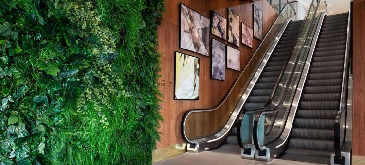 尼斯艾美酒店(英格兰人大道1号，阿尔伯特1e花园，马塞纳广场)(Le Meridien Nice)图片