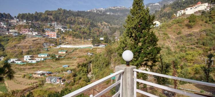 Hotel O Pine Tree图片