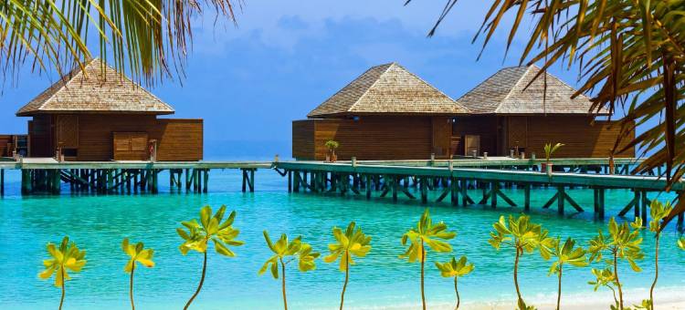 拉斯德胡岛海滩旅馆(Rasdhoo Island Inn Beachfront)图片