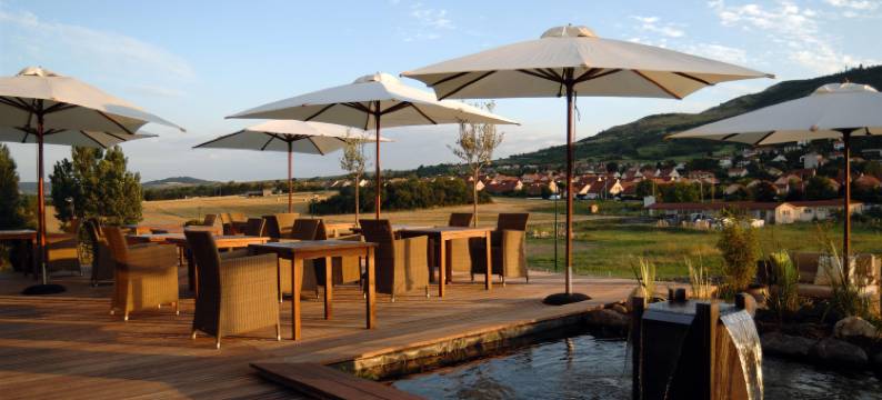 吉尔格维贝斯特韦斯特优质酒店(Best Western Plus Hotel Gergovie)图片