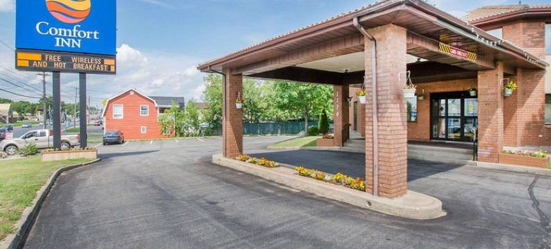 巴瑟斯特舒适酒店(Comfort Inn)图片