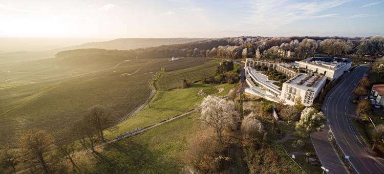 皇家香槟 Spa 酒店(Royal Champagne Hotel & Spa)图片