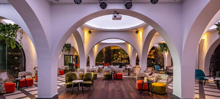 兰萨罗特火山酒店(Hotel LIVVO Volcán Lanzarote)图片