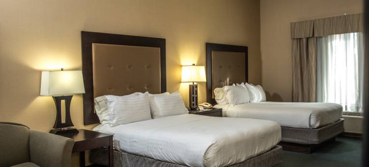 智选假日套房酒店底特律 - 诺维(Holiday Inn Express & Suites Detroit-Novi)图片