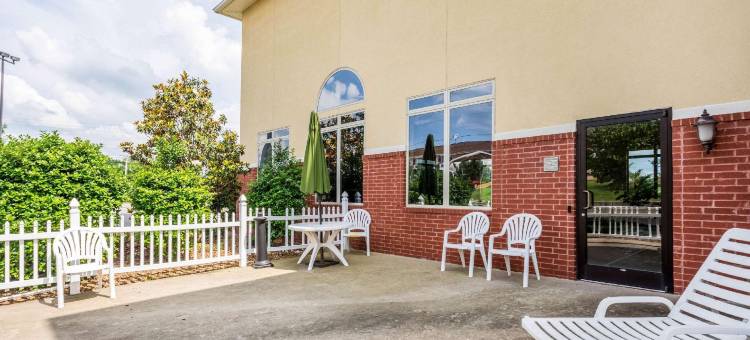 舒适套房酒店(Comfort Suites)图片