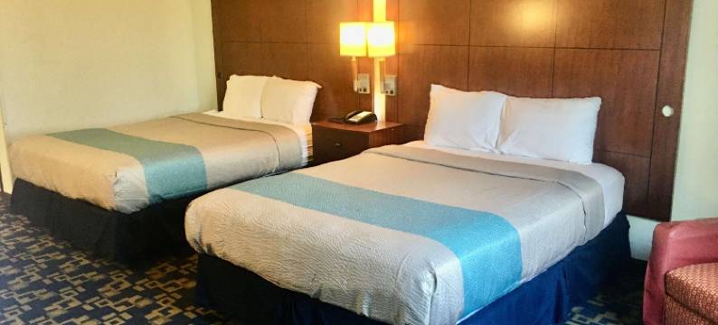 魏玛贝斯特韦斯特SureStay酒店(SureStay Hotel by Best Western Weimar)图片