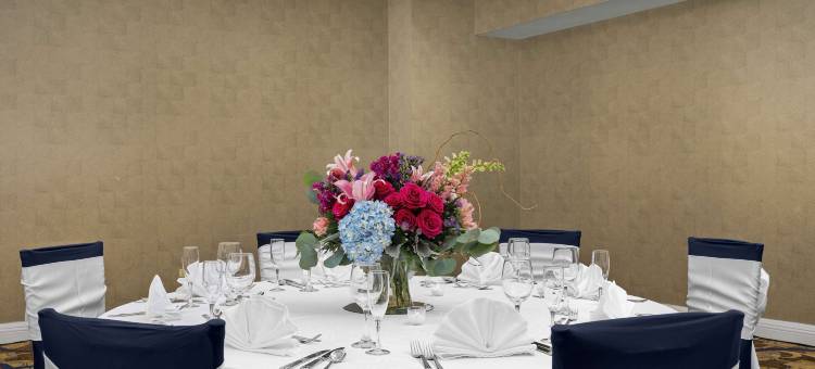 芝加哥罗斯蒙特欧海尔机场希尔顿逸林酒店(DoubleTree by Hilton Chicago O'Hare Airport-Rosemont)图片