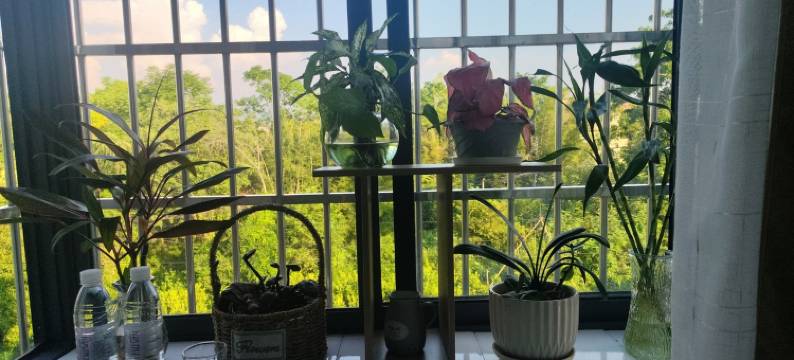 静心小苑(桂林师范大学雁山校区店)图片