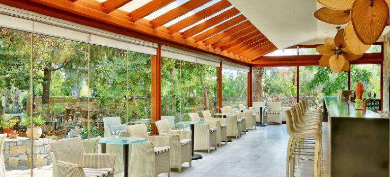 阿波罗尼亚海滩度假酒店及Spa(Apollonia Beach Resort & Spa)图片