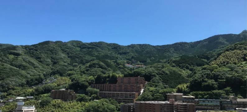 绿朋友汤河原酒店(Green-Pal Yugawara)图片