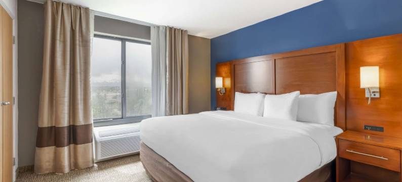 朗蒙特舒适全套房酒店(Comfort Suites Longmont)图片