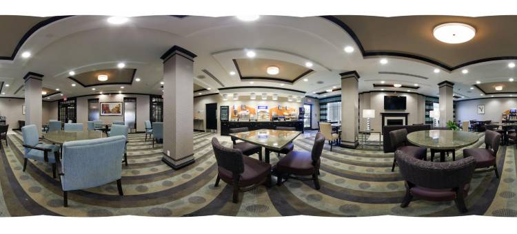 智选假日套房酒店渥太华西 - NEPEAN(Holiday Inn Express & Suites Ottawa West - Nepean)图片