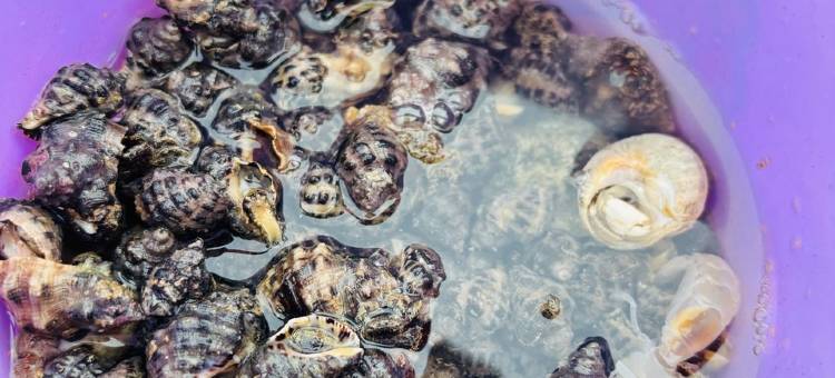 平潭海石厝客栈图片