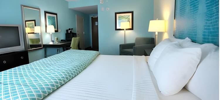 Holiday Inn & Suites 奥卡拉会议中心(Holiday Inn & Suites OCALA CONFERENCE CENTER by IHG)图片