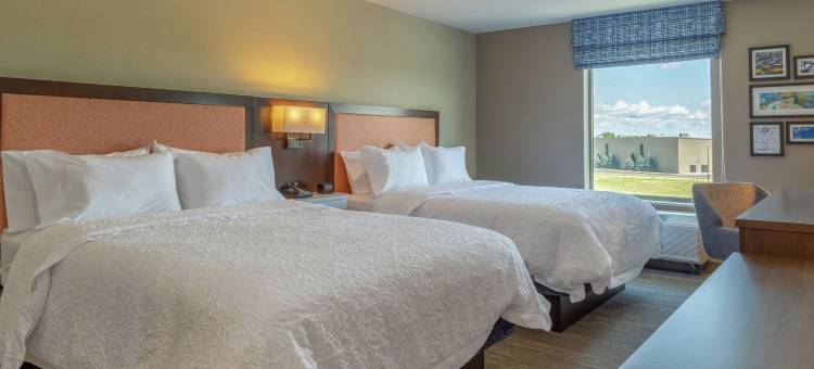 布尔博奈坎卡基希尔顿欢朋酒店(Hampton Inn by Hilton Bourbonnais/Kankakee)图片