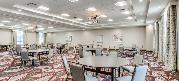 希尔顿花园酒店 北达拉斯中央高速公路(Hilton Garden Inn North Dallas Central Expy)图片