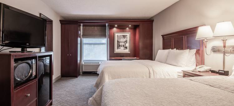 威廉斯堡里士满路欢朋套房酒店(Hampton Inn & Suites Williamsburg-Richmond Road)图片