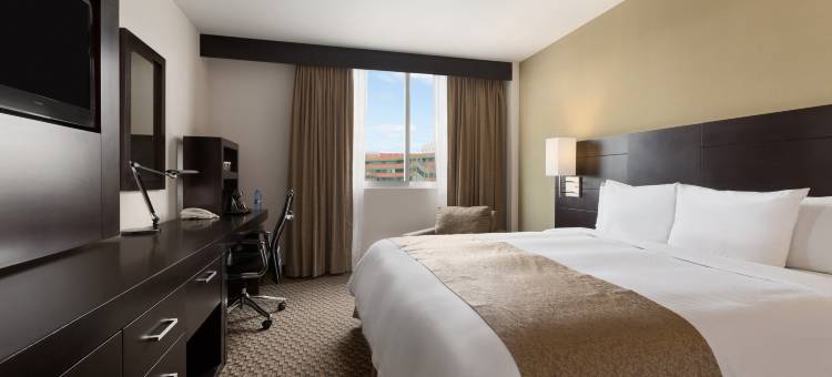 奎雷塔罗大希尔顿逸林酒店(DoubleTree by Hilton Queretaro)图片