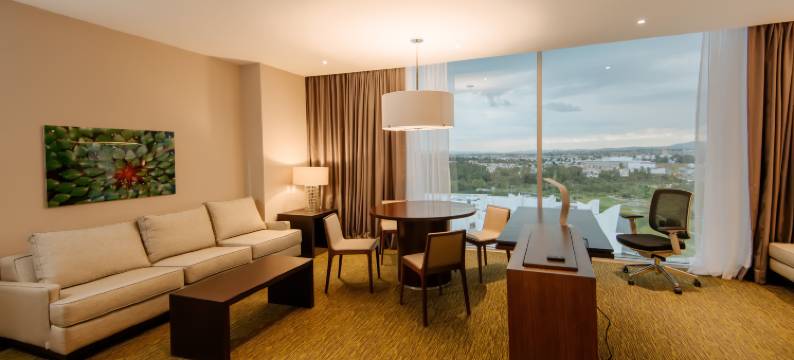 墨西哥普埃布拉安荷洛波里斯希尔顿花园酒店(Hilton Garden Inn Puebla Angelópolis)图片