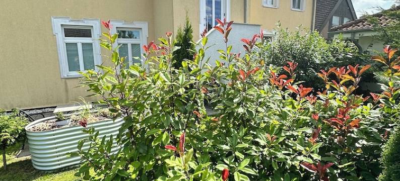 Villa Steinhuder Meer App.Superior-La Fleur-(85m2)with pantry-kitchen, garden, WLAN图片