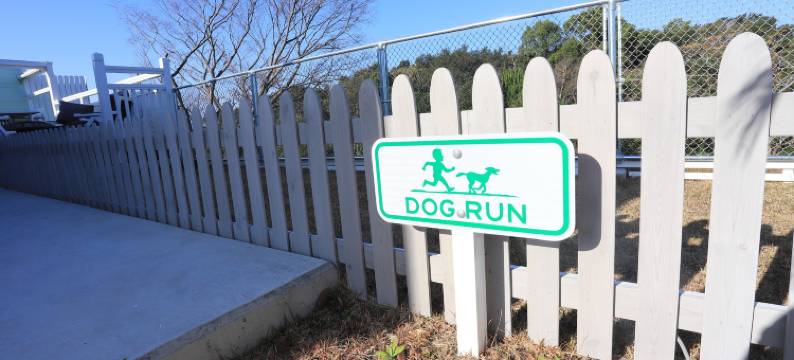 Granhills Yashi图片