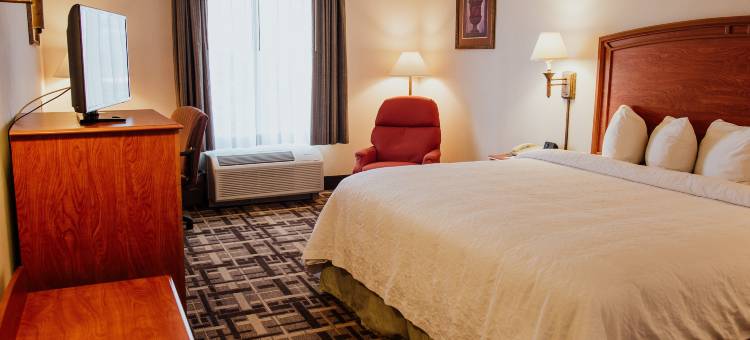 希尔顿欢朋酒店托雷翁机场画廊(Hampton Inn by Hilton Torreon-Airport Galerias)图片