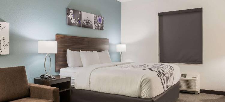 韦布城舒眠套房酒店(Sleep Inn & Suites Webb City)图片