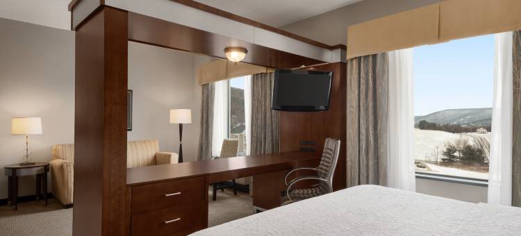 曼斯费尔德欢朋套房酒店(Hampton Inn & Suites Mansfield)图片