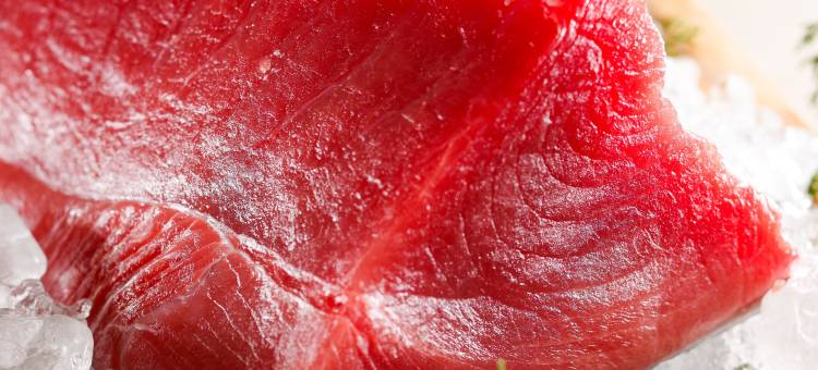 纪伊田边龟之井酒店(Kamenoi Hotel Kii-Tanabe)图片