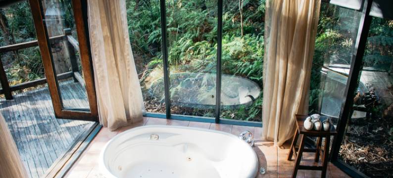 伍德兰雨林度假屋(Woodlands Rainforest Retreat)图片