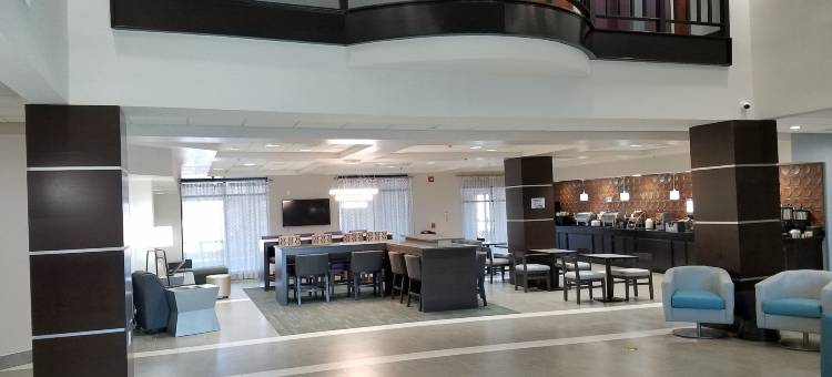 北哥伦布舒适套房酒店(Comfort Inn & Suites Columbus North)图片