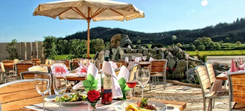 Rebhan's Business Und Wellness Hotel图片