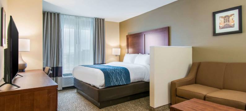 哈里斯堡赫尔希西舒适套房酒店(Comfort Inn & Suites Harrisburg - Hershey West)图片