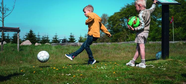 克拉格鲁普戈德斯酒店(Kragerup Gods)图片