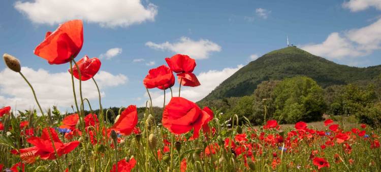 埃森蒂尔阿凡尔纳布里特酒店 - 莱蒙费朗南部(Brit Hotel Essentiel Arverne - Clermont-Ferrand Sud)图片