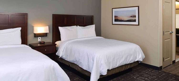 Extended Stay America Suites - 唐纳森维尔 - 冈萨雷斯(Extended Stay America Suites - Donaldsonville - Gonzales)图片