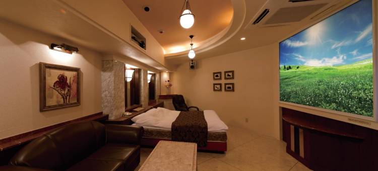 美好花园酒店-大阪梅田(Hotel Fine Garden Umeda)图片