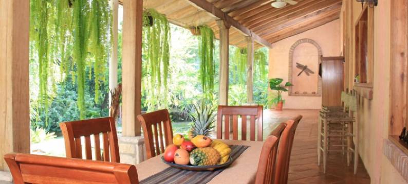 索莱达旅馆(La Villa de Soledad)图片