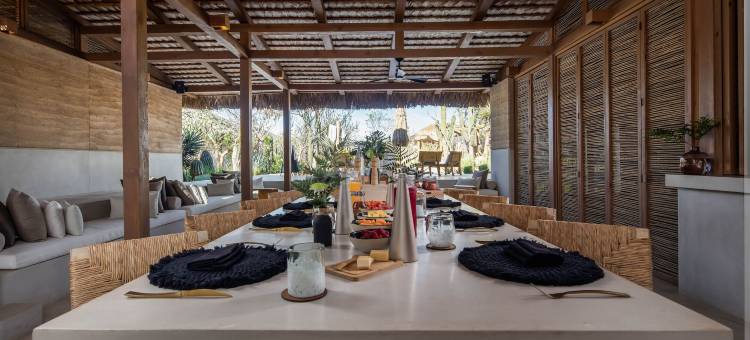 埃尔佩尔迪多沙漠之梦 - 限成人(El Perdido Desert Dream)图片