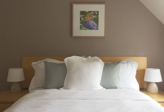 Larkhall Burn Hotel Overview