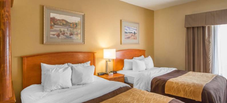 美国中区工业园区凯艺套房酒店(Quality Inn & Suites MidAmerica Industrial Park Area)图片